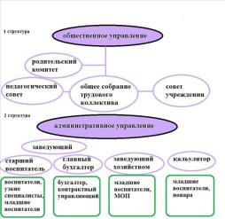 Схема структуры управления в МБДОУ №374